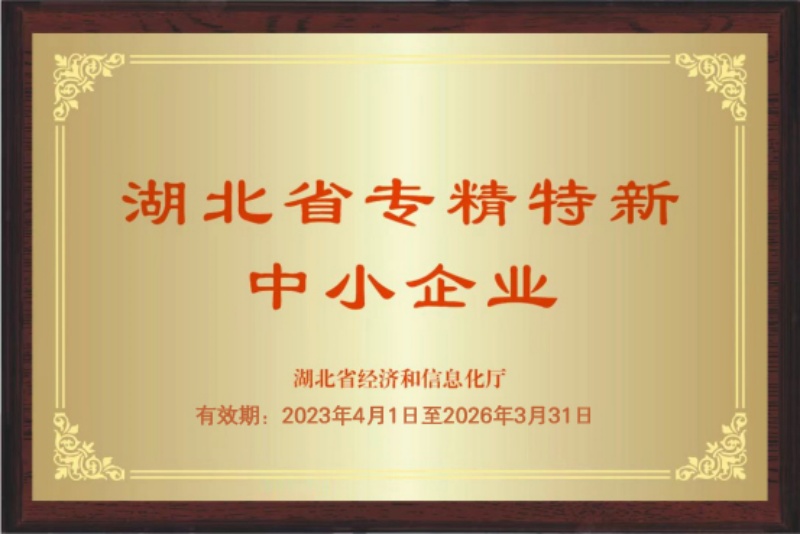 專(zhuān)精特新牌匾_副本.jpg